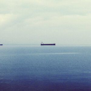 Bordløper Havre